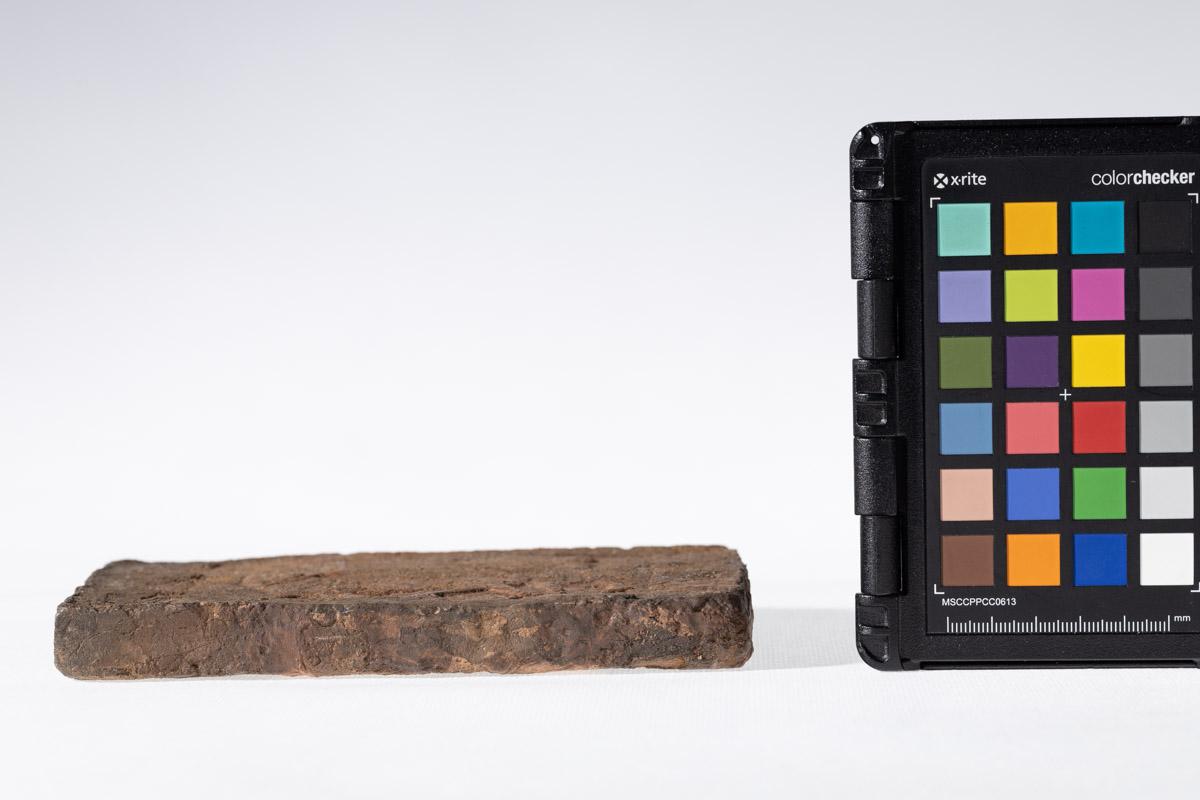 Płytka z wyobrażeniem człowieka prowadzącego lwa na arkanie