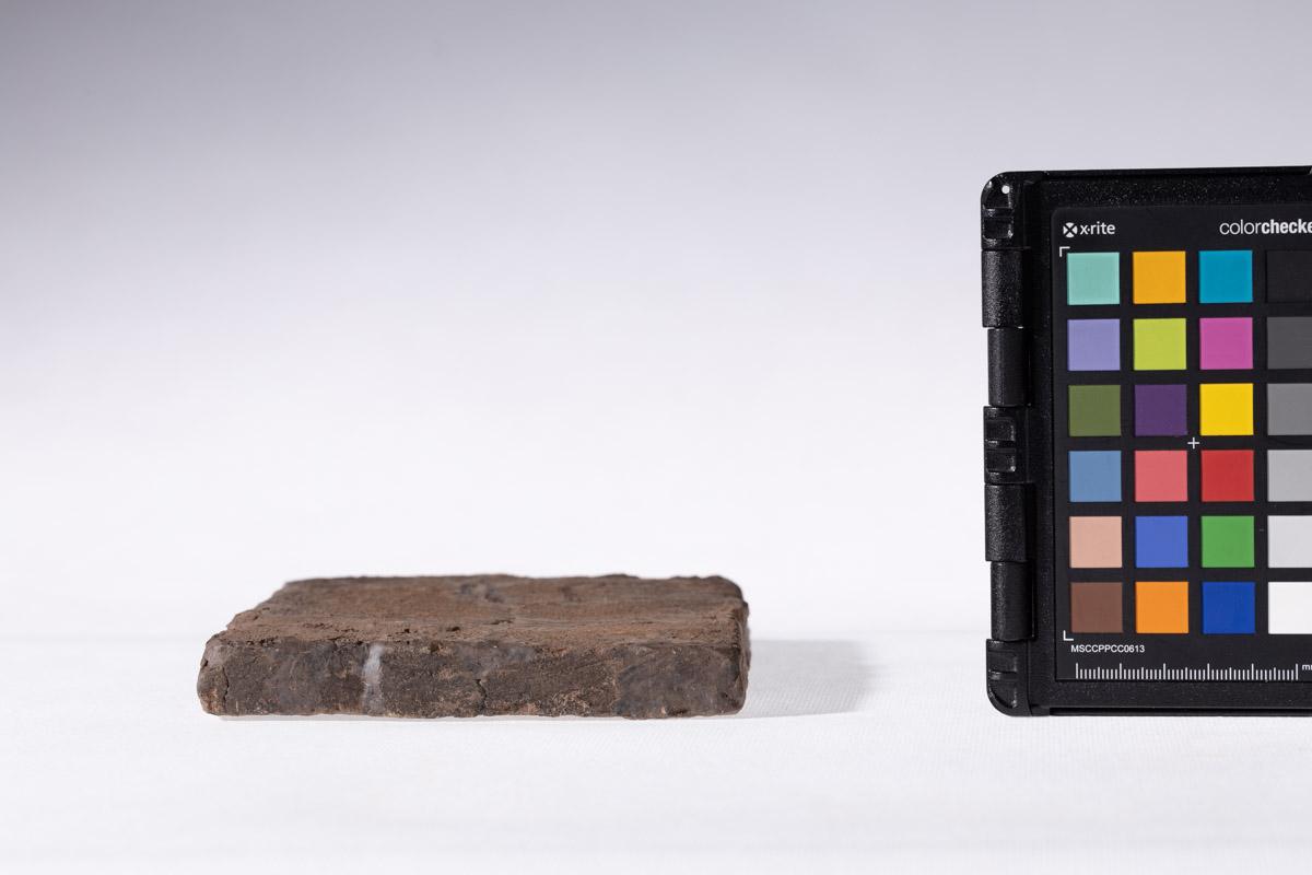 Płytka z wyobrażeniem byka