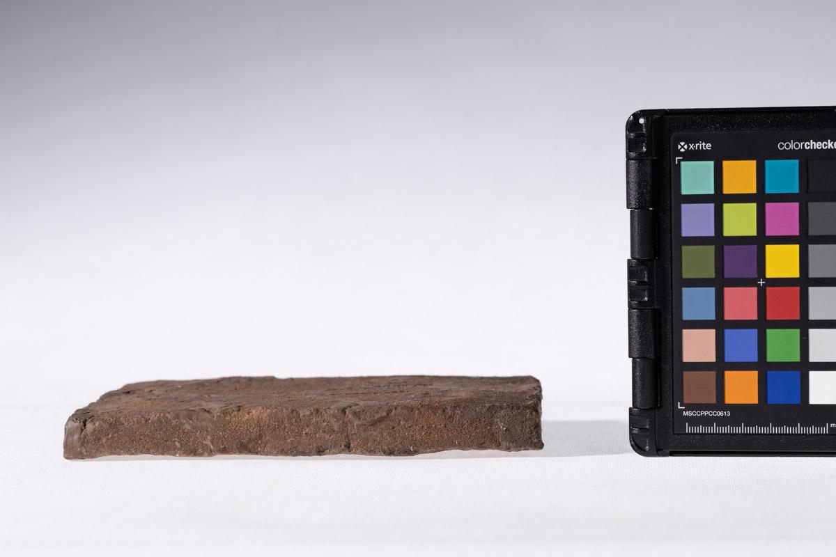 Płytka z wyobrażeniem byka