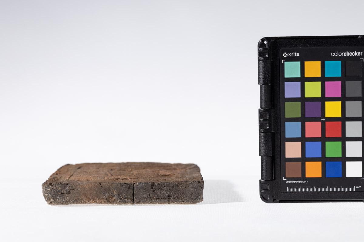 Płytka z wyobrażeniem człowieka prowadzącego lwa na arkanie