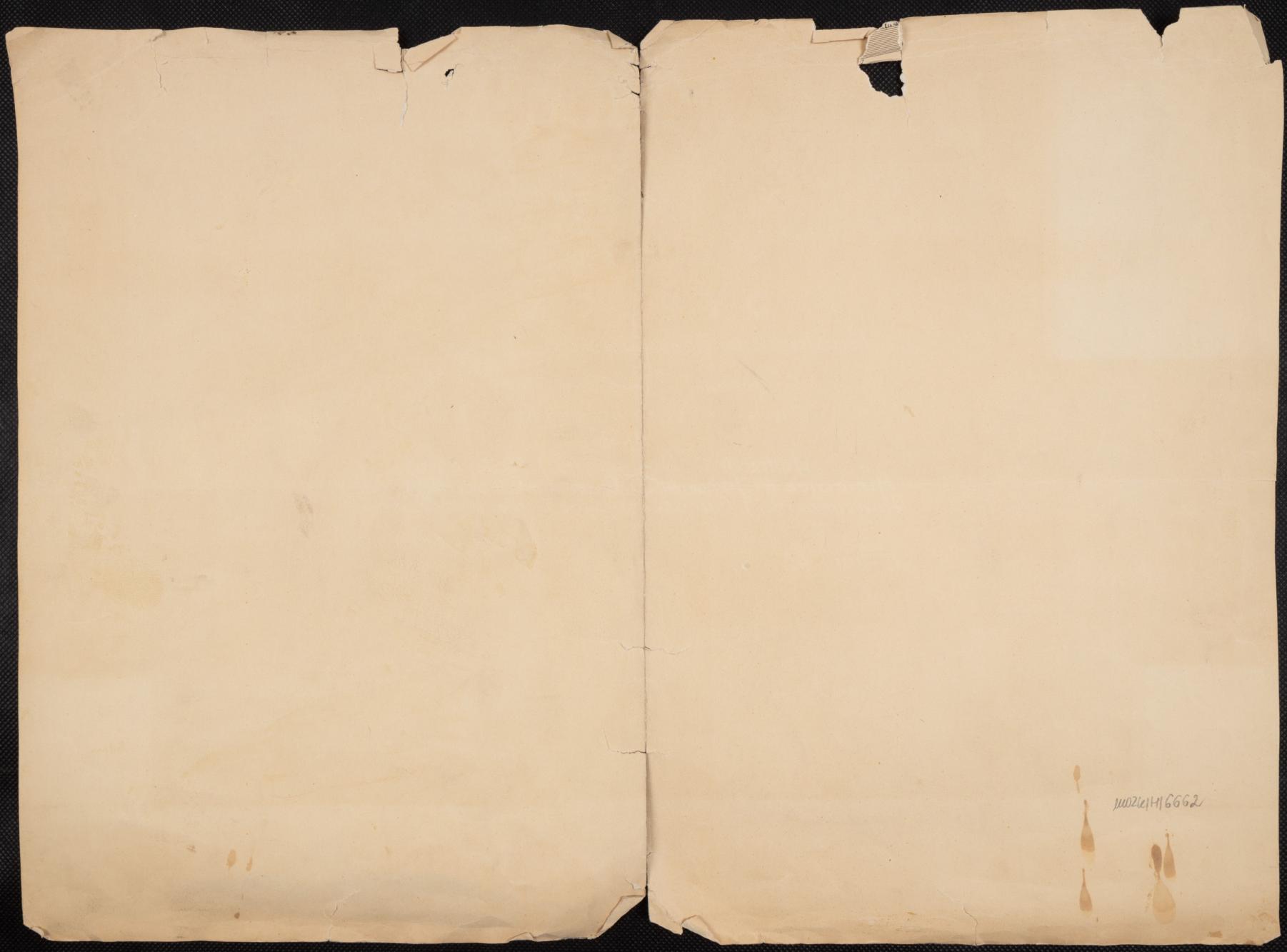 Dyplom P.Z.T.W dla KTW Kalisz