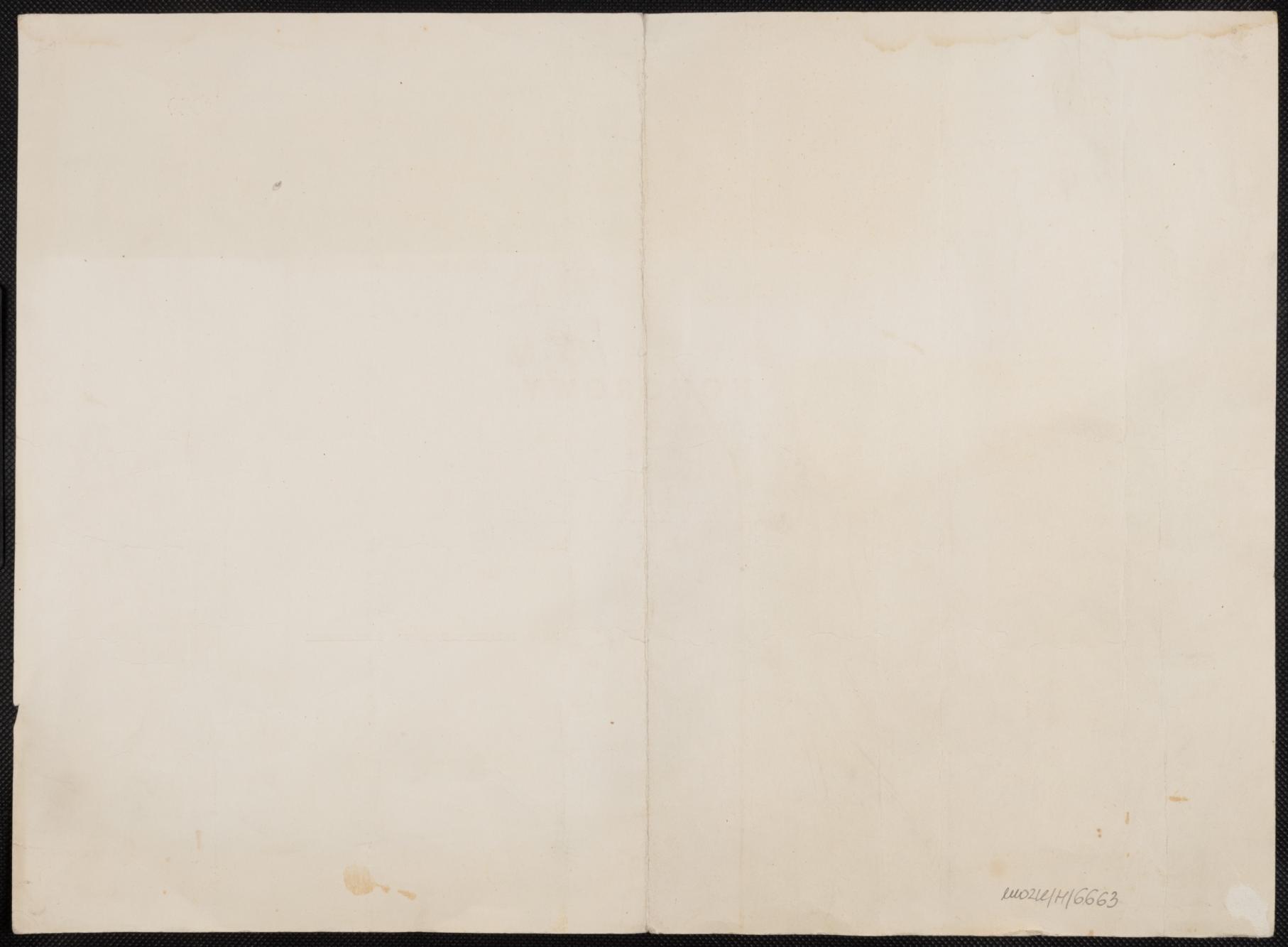 Dyplom honorowy P.Z.T.W.