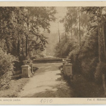 Aleja w nowym parku, Kalisz