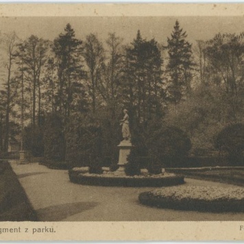 Fragment z parku, Kalisz