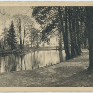 Kogucik w starym parku, Kalisz