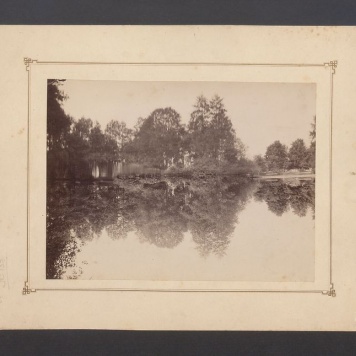 Kogutek w kaliskim parku