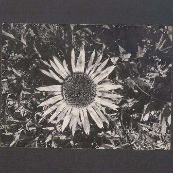 Kochane Kulisy! Cała nasza trójka [...]