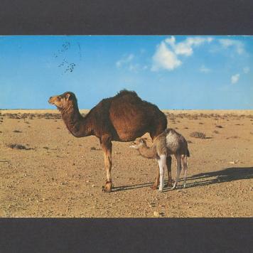 Kulisy kochane, ściskam Was mocno [...]