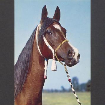 Kochani Basia i Tadeusz! Mimo absolutnej niepamięci [...]