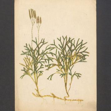 Kochani! Siedzimy ze Siostrą [...]