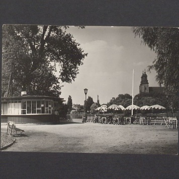 Fragment Parku Piastowskiego, w głębi katedra.