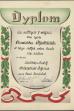 Dyplom za zdobycie II miejsca oraz tytuł Wicemistrza Województwa w biegu dwójek przez osadę KTW Kalisz